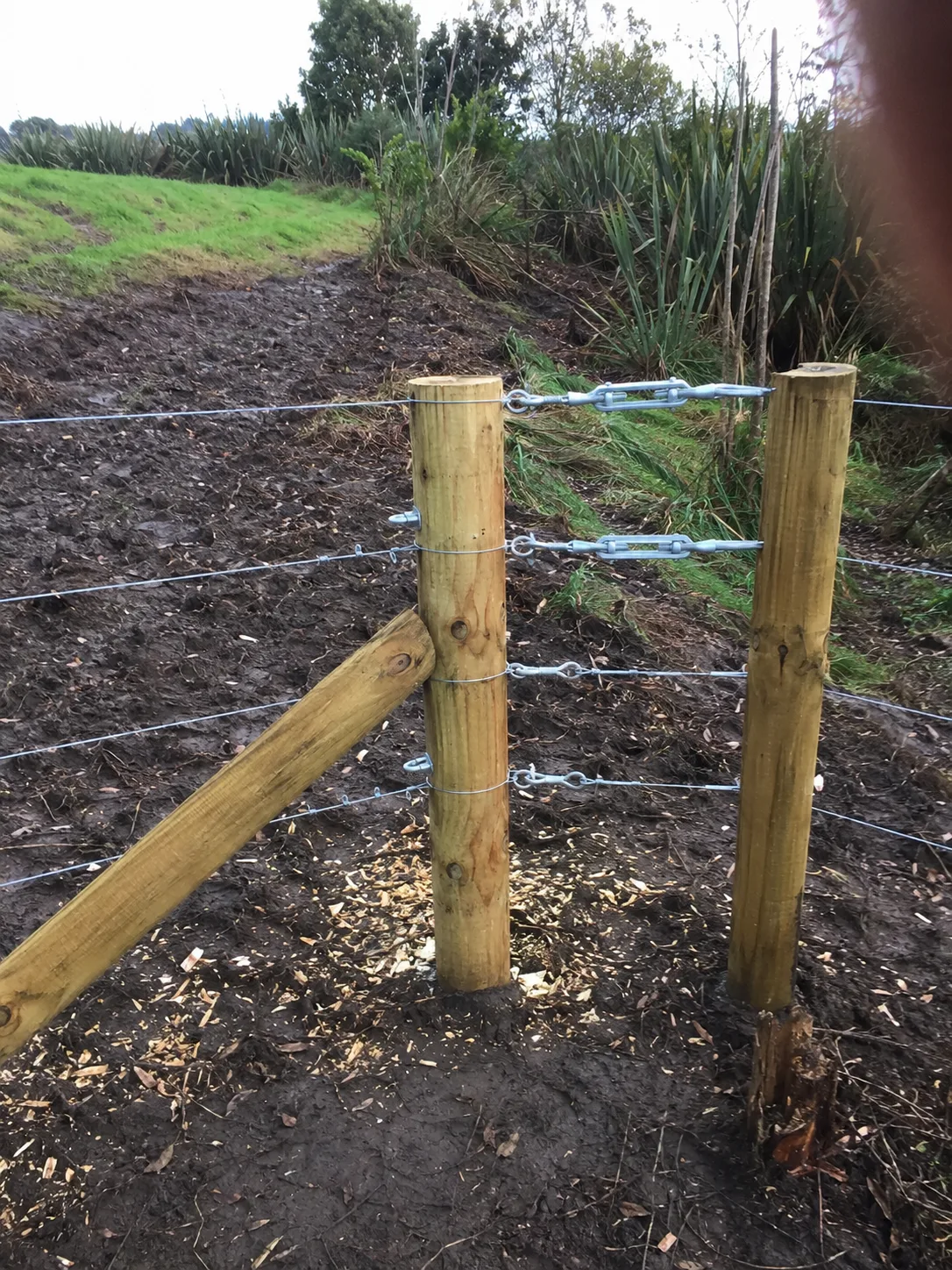 farm entrance and vehicle gate in Mount Roskill, Auckland