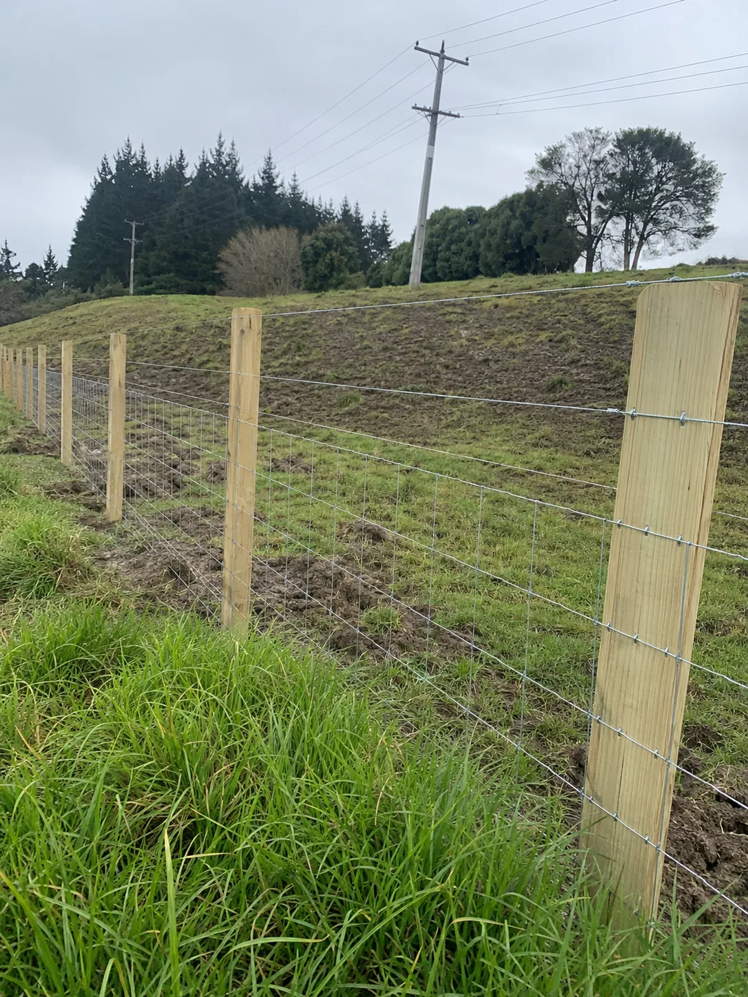 farm entrance and vehicle gate in Burwood, Christchurch