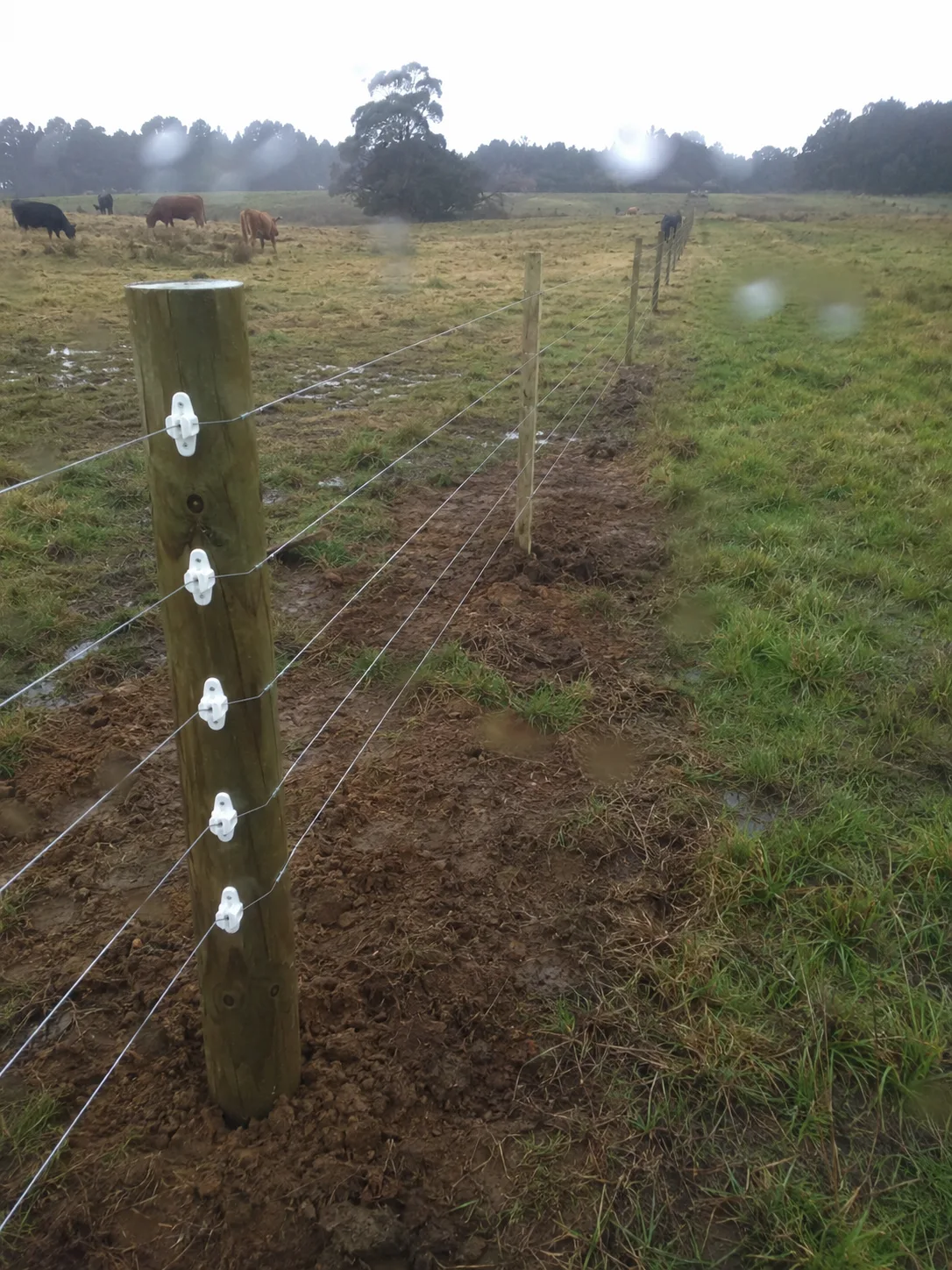 stock fence for a rural boundary in Ōhauiti, Tauranga