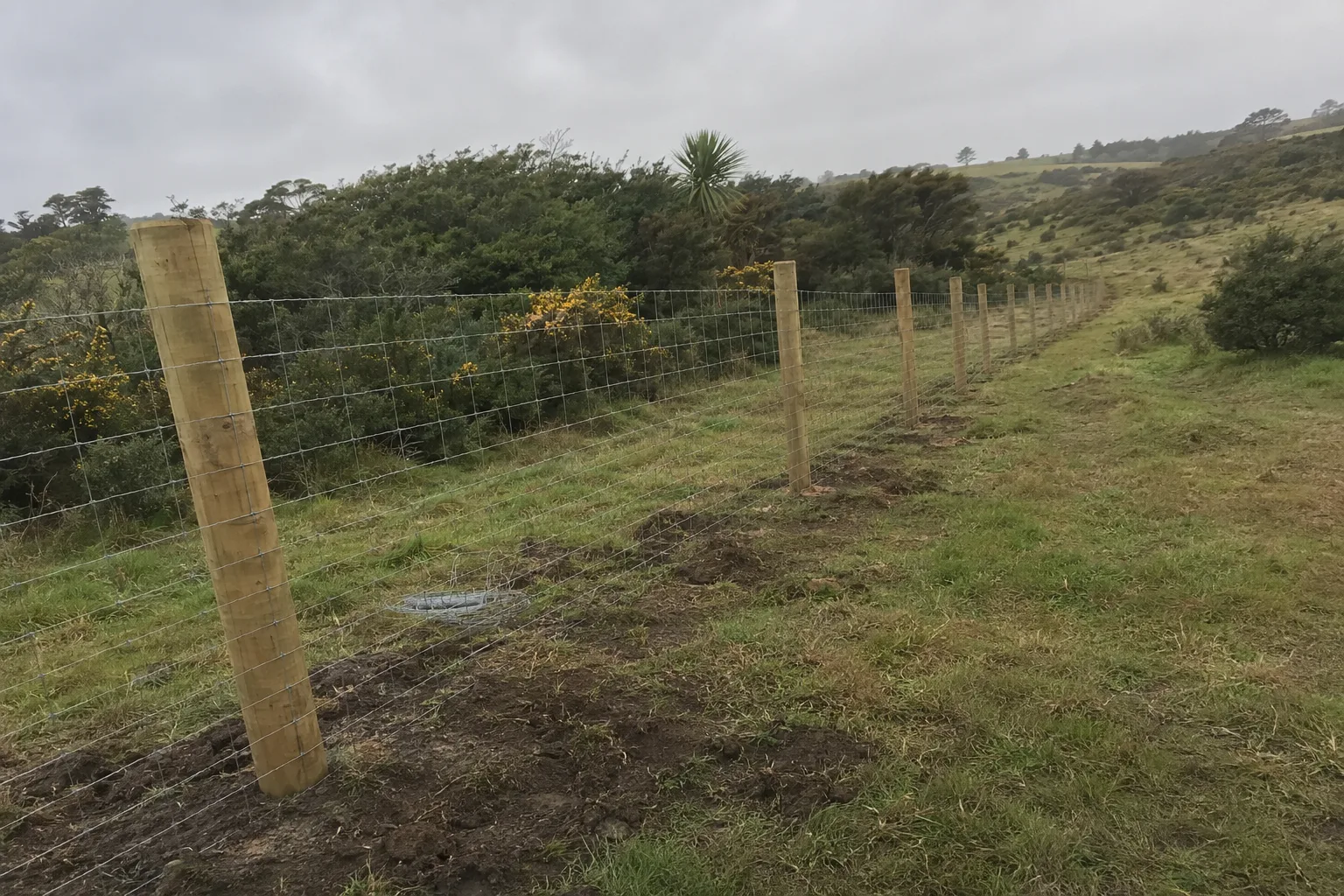 farm entrance and vehicle gate in Gate Pā, Tauranga