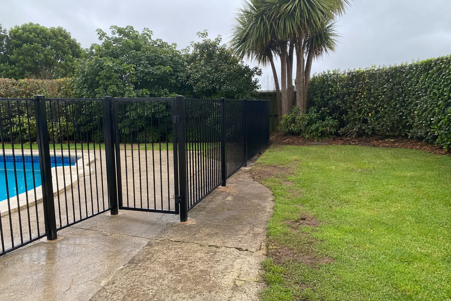 Pool Fencing materials and alignment for a Wellington project