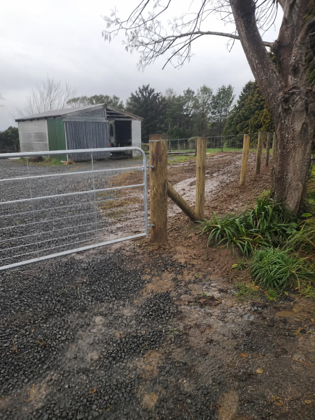 stock fence for a rural boundary in Khandallah, Wellington