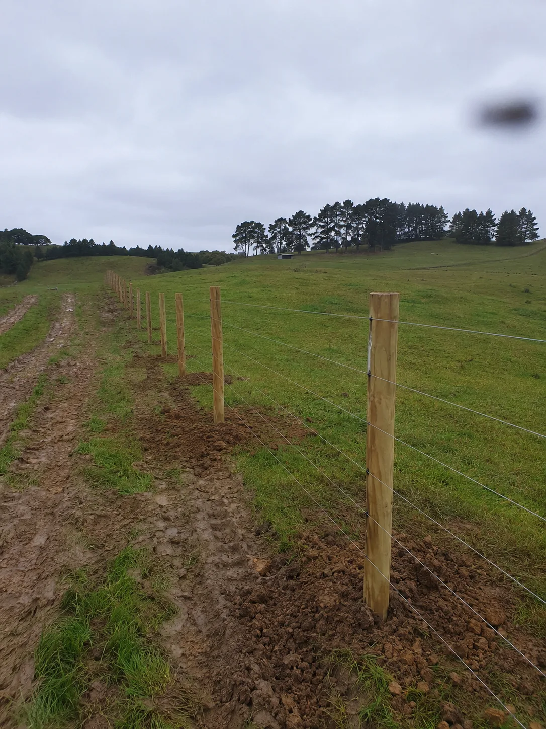 farm entrance and vehicle gate in Tawa, Wellington